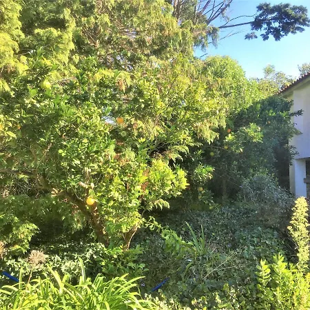 Casa Dos Pintos, Golf E Natureza Holiday home *