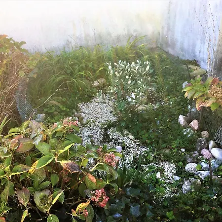 Holiday home Casa Dos Pintos, Golf E Natureza Belas