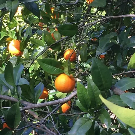 Casa Dos Pintos, Golf E Natureza