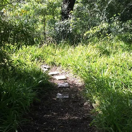 Casa Dos Pintos, Golf E Natureza * Belas