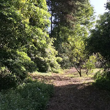 Casa Dos Pintos, Golf E Natureza Сasa de vacaciones Belas