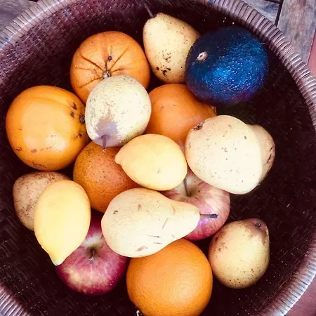 Casa Dos Pintos, Golf E Natureza Belas