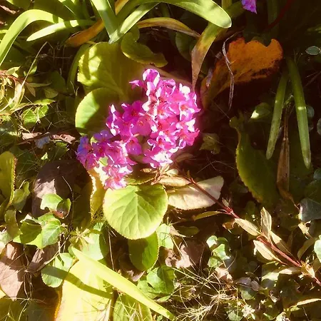 Casa Dos Pintos, Golf E Natureza