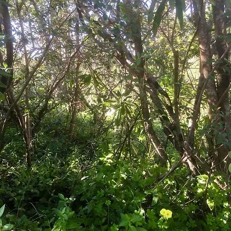 Casa Dos Pintos, Golf E Natureza