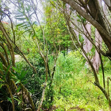 Сasa de vacaciones Casa Dos Pintos, Golf E Natureza Belas