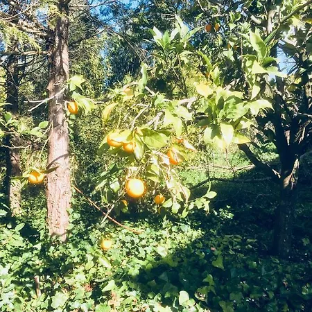 Casa Dos Pintos, Golf E Natureza Casa de Férias