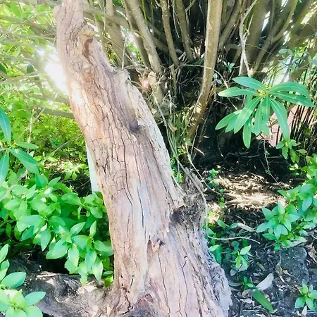 Casa Dos Pintos, Golf E Natureza * Belas