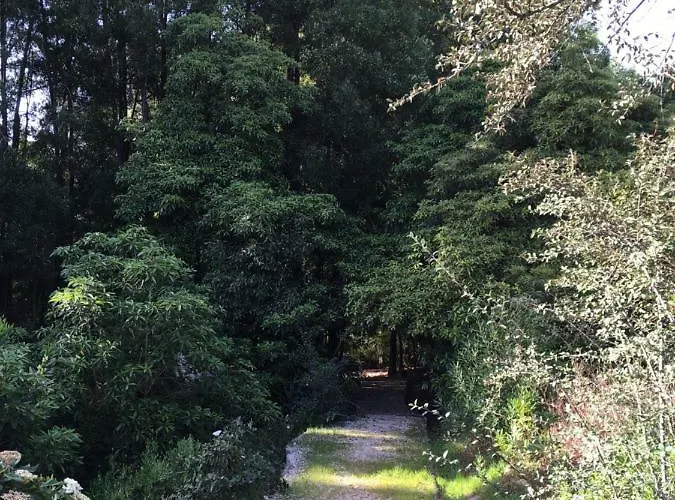 Casa Dos Pintos, Golf E Natureza Prázdninový dům