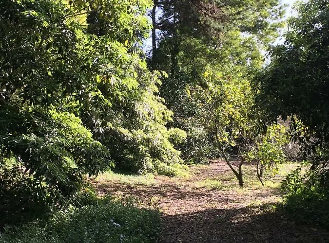 Casa Dos Pintos, Golf E Natureza Feriehus Belas