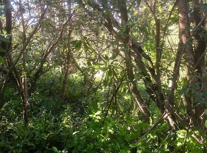 Casa Dos Pintos, Golf E Natureza